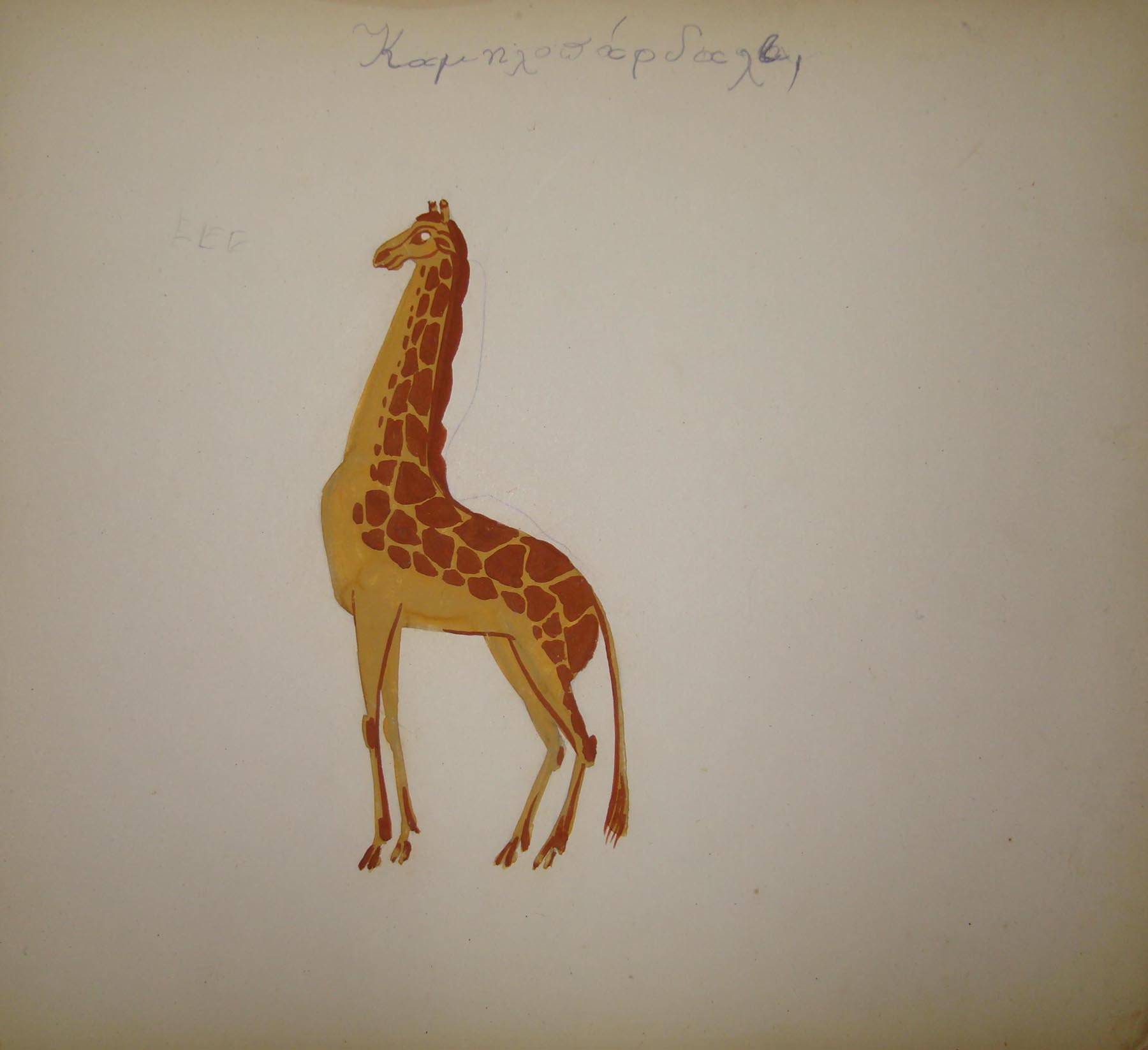 Καμηλοπάρδαλη